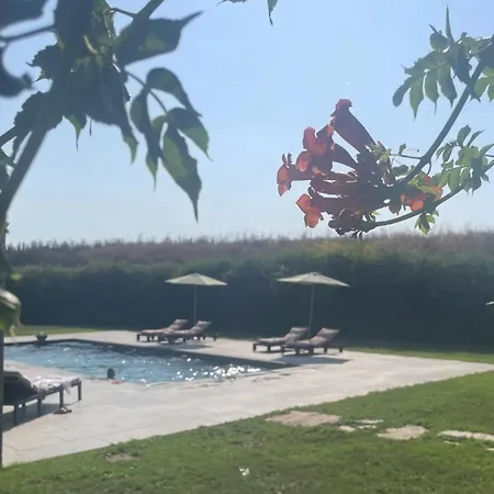 Les Mazets Du Pas Guest house 3*