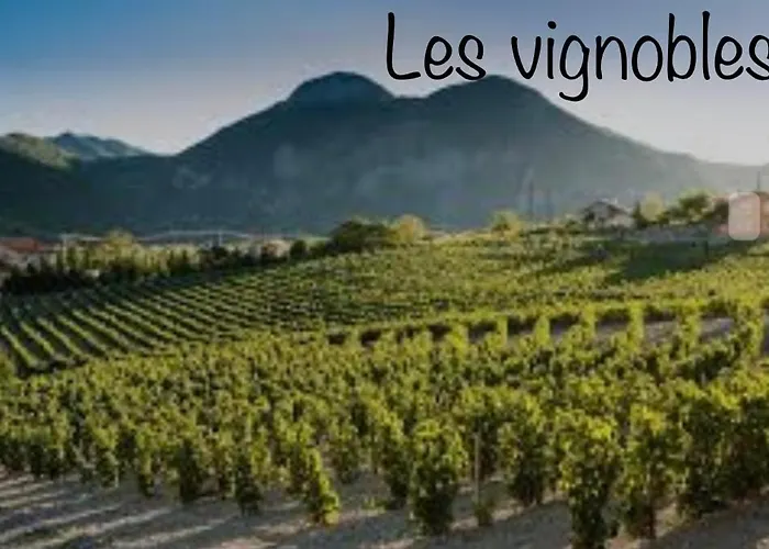 Les Mazets Du Pas Guest house 3*